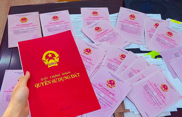 anh-truong-hoc-1-1-1